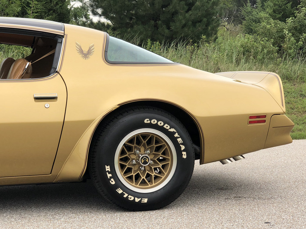 Trans Am Specialties Of Florida 
